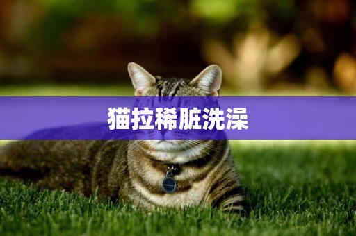 貓拉稀臟洗澡