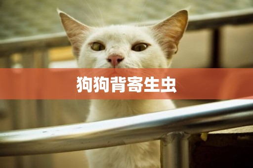 狗狗背寄生蟲