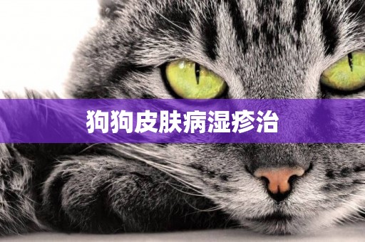 狗狗皮膚病濕疹治