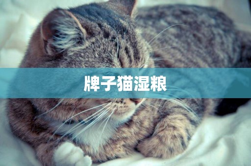 牌子貓濕糧
