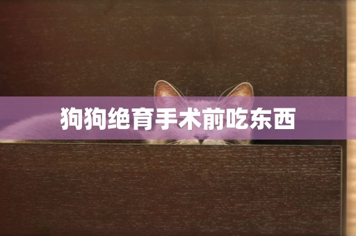 狗狗絕育手術前吃東西
