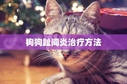 狗狗趾間炎治療方法