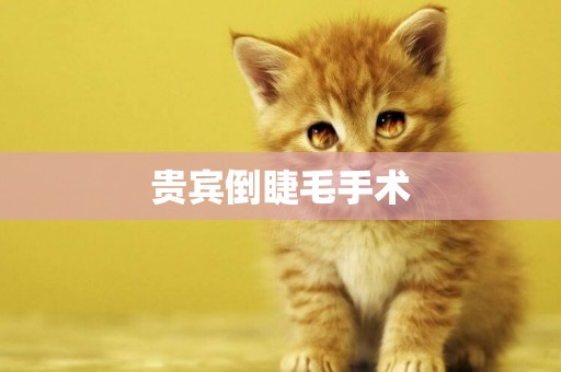 貴賓倒睫毛手術