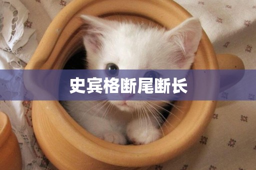 史賓格斷尾斷長