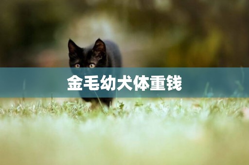 金毛幼犬體重錢