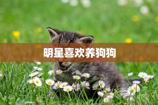 明星喜歡養狗狗