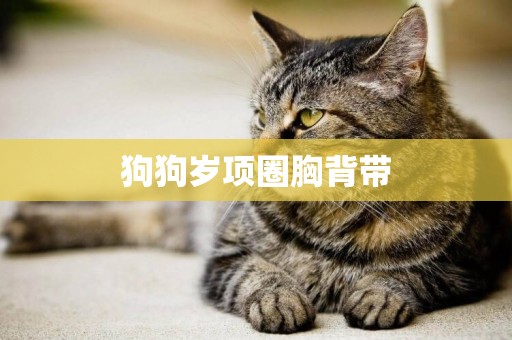 狗狗歲項圈胸背帶