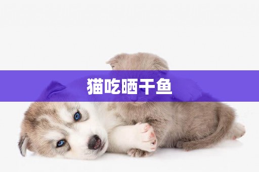 貓吃曬干魚