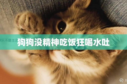 狗狗沒精神吃飯狂喝水吐