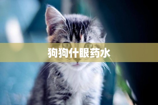 狗狗什眼藥水