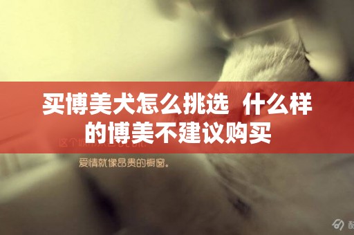買博美犬怎么挑選  什么樣的博美不建議購買