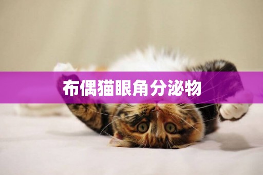 布偶貓眼角分泌物