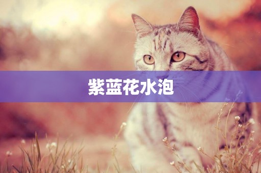 紫藍花水泡