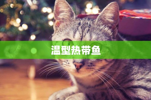 溫型熱帶魚