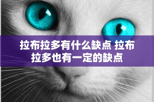 拉布拉多有什么缺點 拉布拉多也有一定的缺點