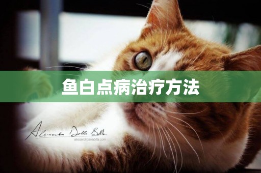 魚白點病治療方法