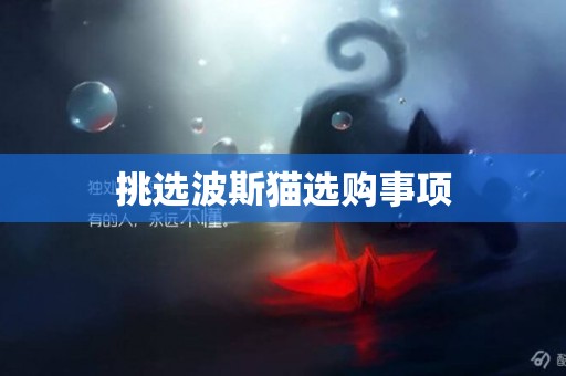 挑選波斯貓選購事項