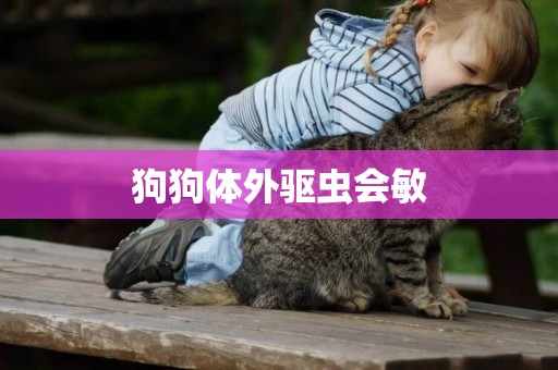 狗狗體外驅蟲會敏