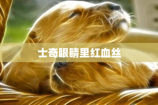士奇眼睛里紅血絲
