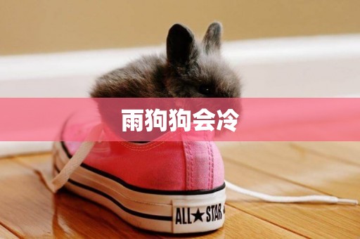 雨狗狗會冷