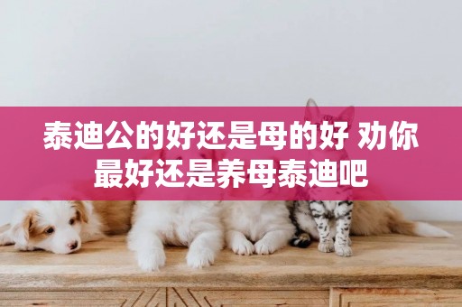 泰迪公的好還是母的好 勸你最好還是養母泰迪吧