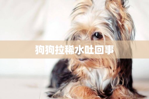 狗狗拉稀水吐回事