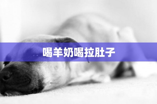 喝羊奶喝拉肚子