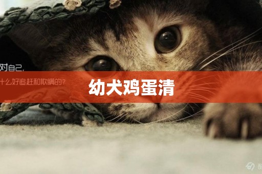 幼犬雞蛋清