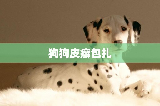狗狗皮癬包扎