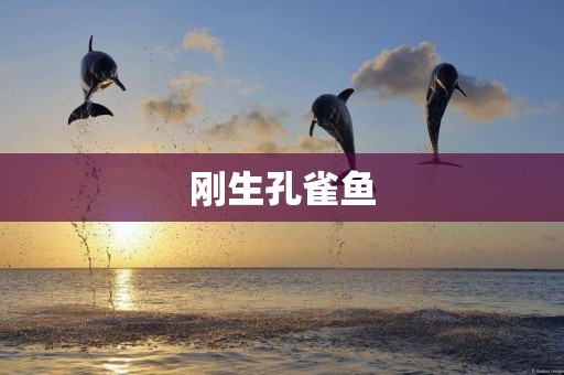 剛生孔雀魚