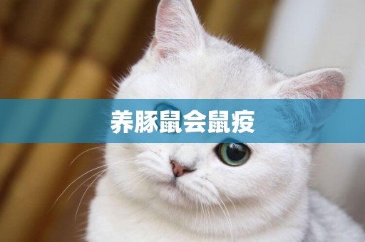 養豚鼠會鼠疫