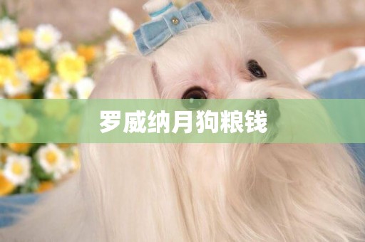 羅威納月狗糧錢
