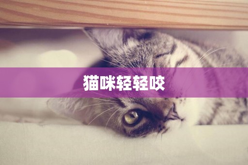 貓咪輕輕咬