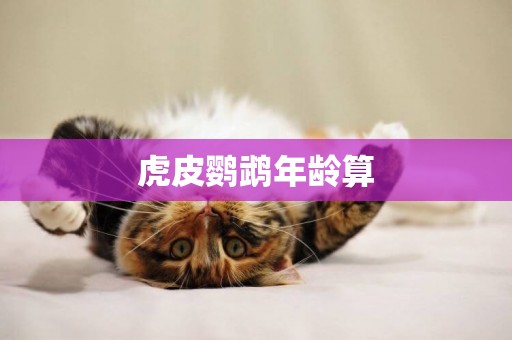 虎皮鸚鵡年齡算