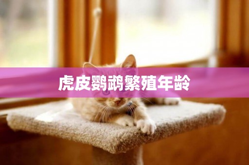 虎皮鸚鵡繁殖年齡