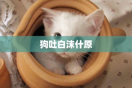 狗吐白沫什原