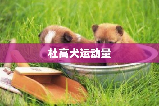 杜高犬運動量