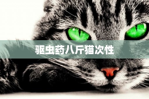 驅蟲藥八斤貓次性