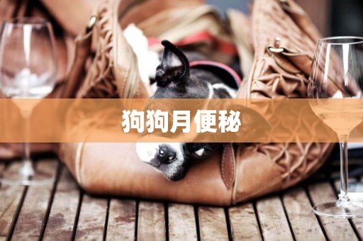 狗狗月便秘