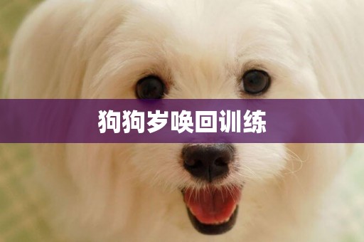 狗狗歲喚回訓練