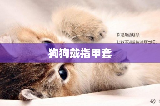 狗狗戴指甲套