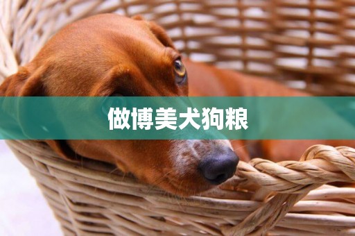 做博美犬狗糧