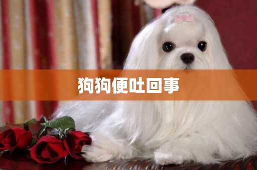 狗狗便吐回事