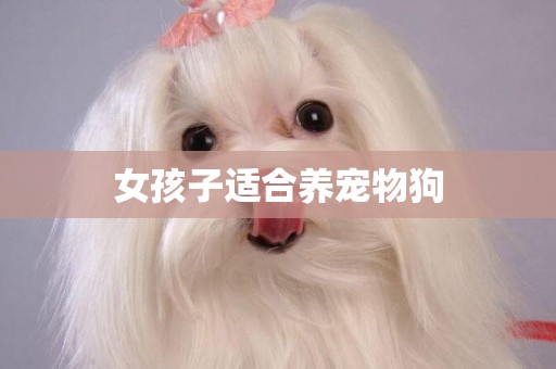 女孩子適合養寵物狗