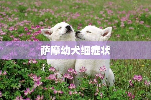 薩摩幼犬細癥狀