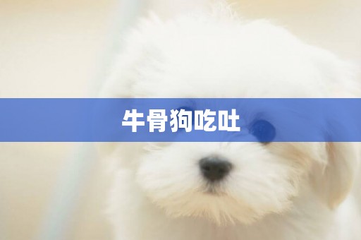 牛骨狗吃吐