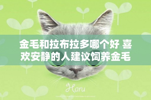 金毛和拉布拉多哪個好 喜歡安靜的人建議飼養金毛