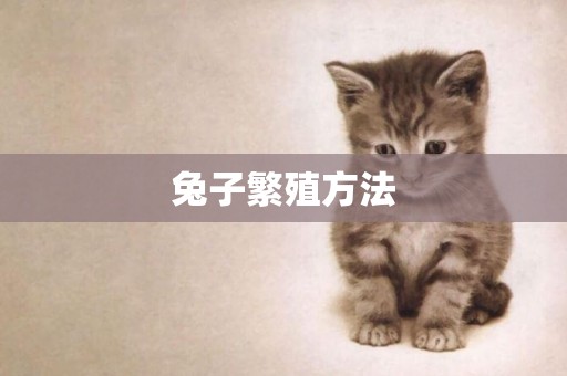 兔子繁殖方法