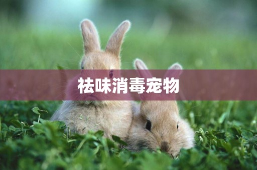 祛味消毒寵物