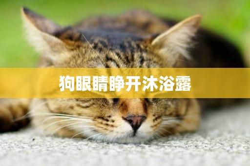 狗眼睛睜開沐浴露